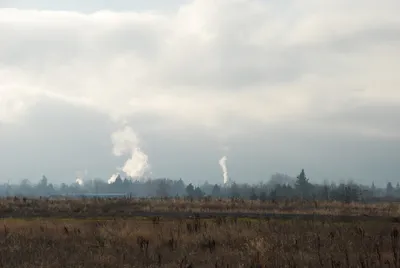 DSC_0704 (Large).JPG